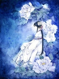 不吻我，试试看